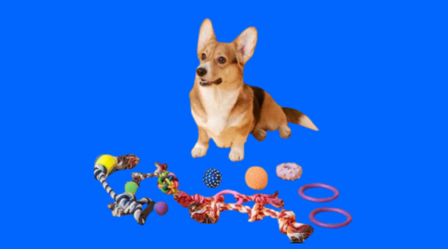Pet Toys